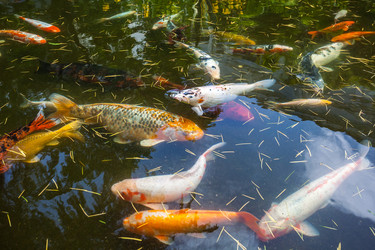 Similar image 13076652