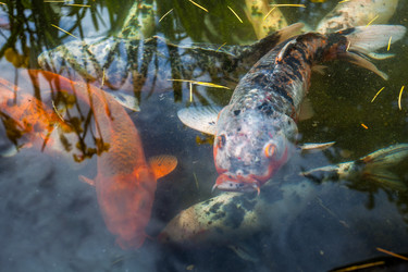 Similar image 13076654