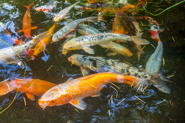 Similar image 13076655