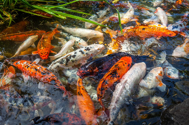 Similar image 13076656