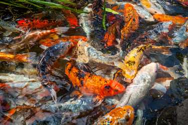 Similar image 13076658