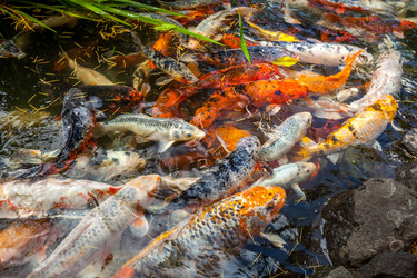 Similar image 13076659