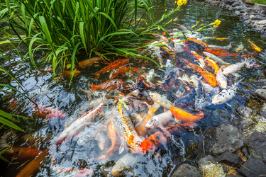 Similar image 13076660