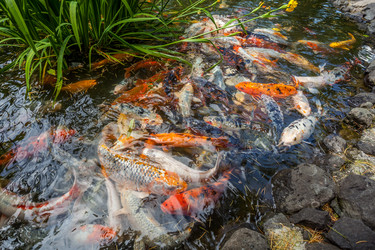 Similar image 13076661