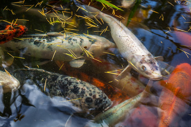 Similar image 13076662