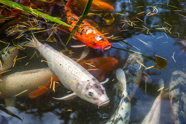 Similar image 13076673