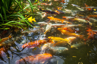 Similar image 13076684