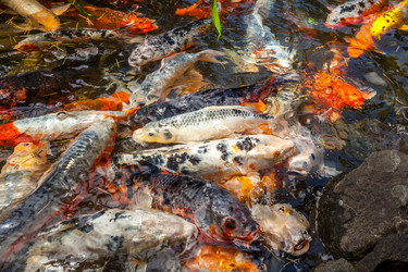 Similar image 13076691