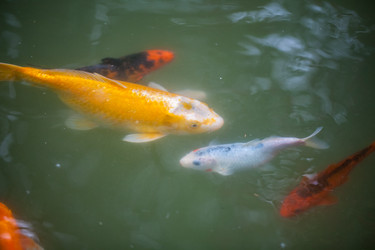 Similar image 13076559