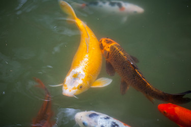 Similar image 13076560