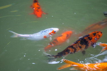 Similar image 13076575