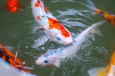 Similar image 13076576