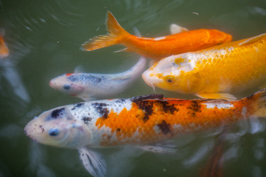 Similar image 13076578