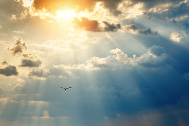 Similar image 13075096