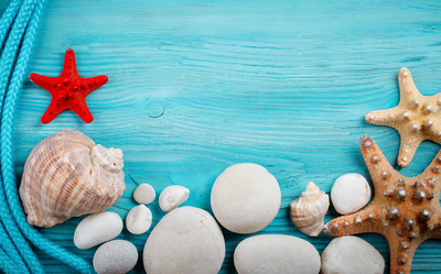 Similar image 13075109