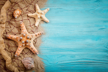 Similar image 13075115