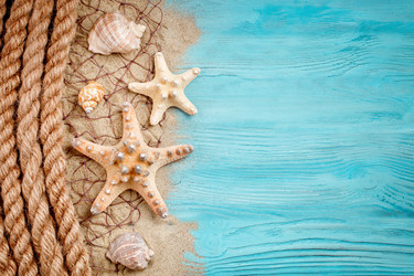 Similar image 13075117