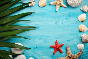 Similar image 13075119