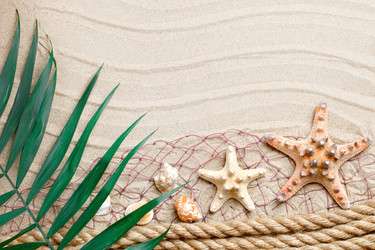 Similar image 13075124