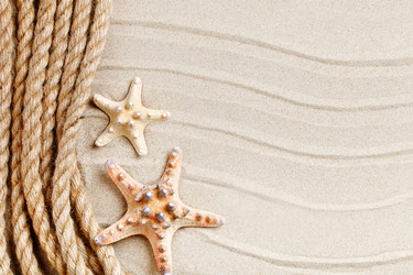 Similar image 13075136