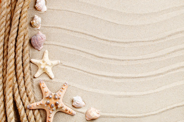 Similar image 13075156