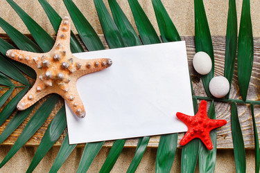 Similar image 13075159