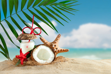 Similar image 13075198