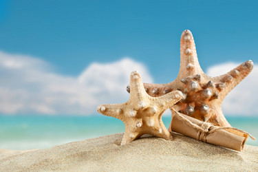 Similar image 13075199