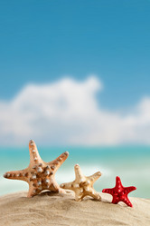 Similar image 13075202