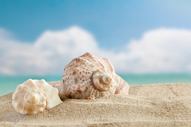 Similar image 13075215