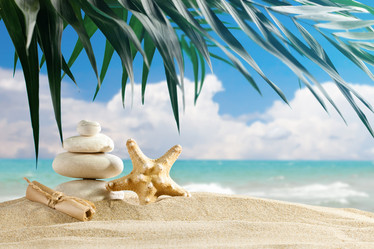 Similar image 13075217