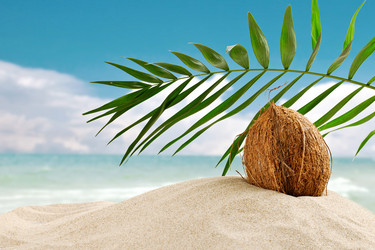 Similar image 13075234