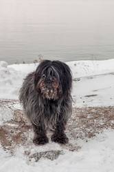 Similar image 13065925