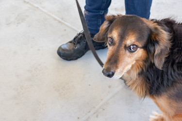 Similar image 13065926