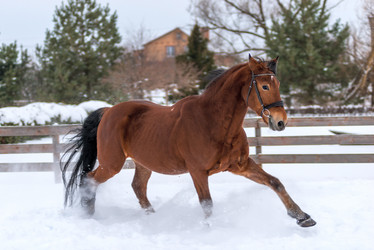 Similar image 13104000