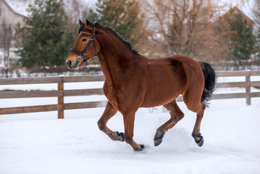 Similar image 13104075