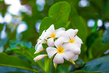 Similar image 13104079