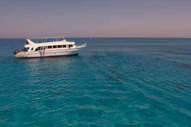 Similar image 13074277