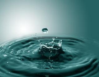 Similar image 13065941