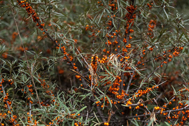 Similar image 13065952