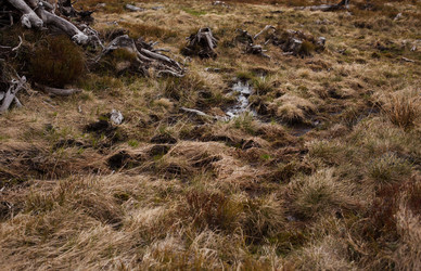 Similar image 13065955