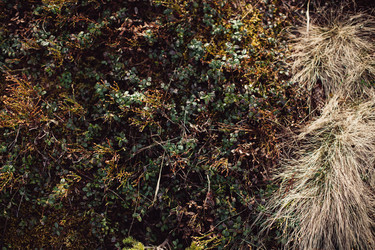 Similar image 13065957