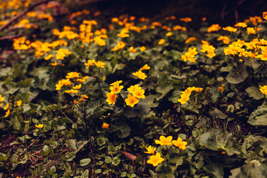 Similar image 13065958