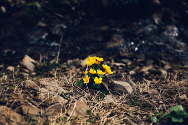 Similar image 13065959