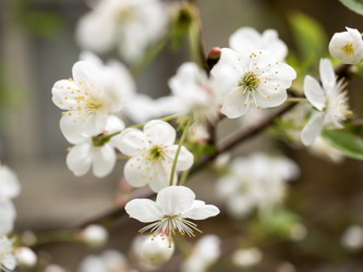 Similar image 13070841