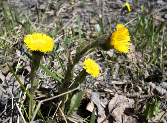 Similar image 13070823