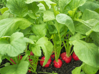 Similar image 13070843