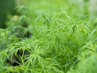 Similar image 13070844