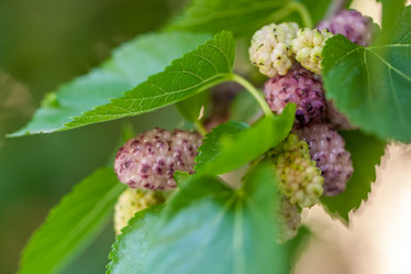 Similar image 13076561