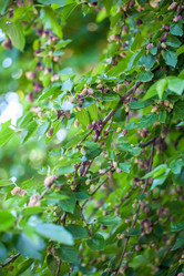 Similar image 13076562